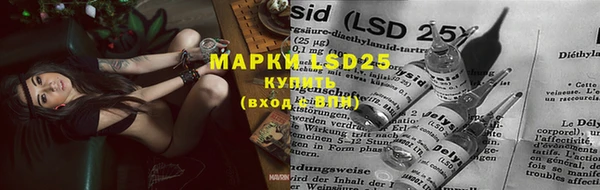 прущие грибы Алексин