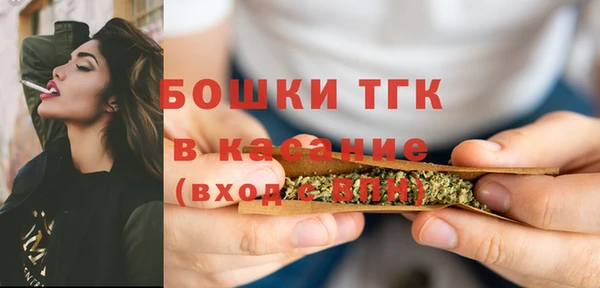 молекула духа Алексеевка