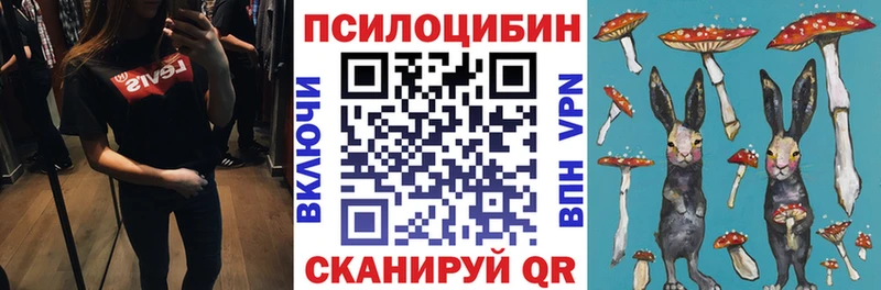 Псилоцибиновые грибы Magic Shrooms Артёмовск