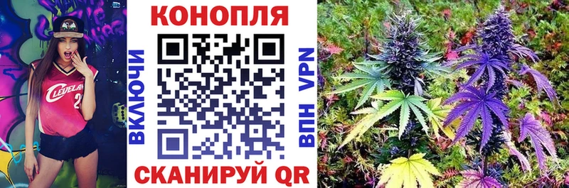 где продают   Артёмовск  МАРИХУАНА ГИДРОПОН 